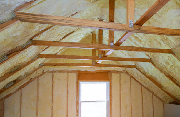 Best Residential Insulation in Brownsville, FL